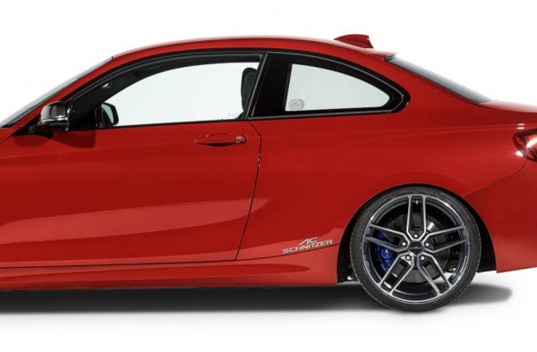 AC Schnitzer logo verschillende modellen