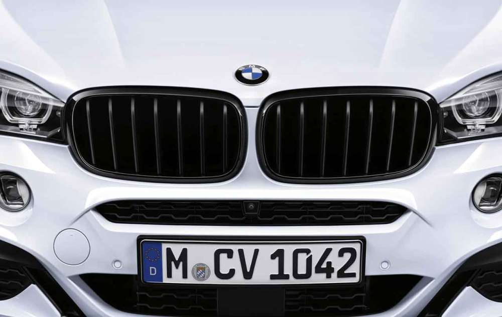 BMW M Performance Grille Zwart voor X5/X6