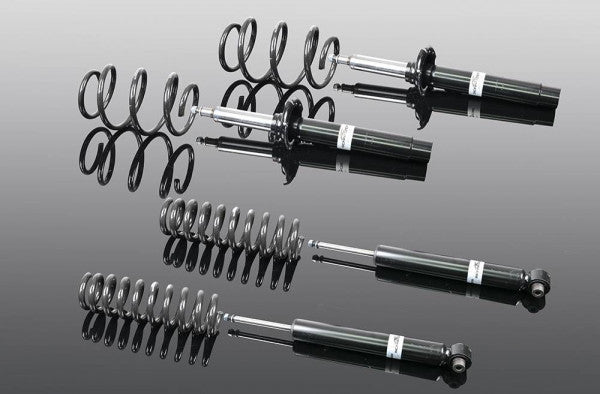 AC Schnitzer sport vering voor BMW 3 Serie