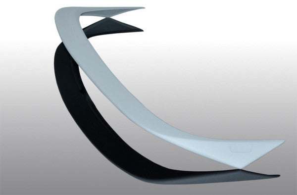 AC Schnitzer dakspoiler voor BMW 3 Serie